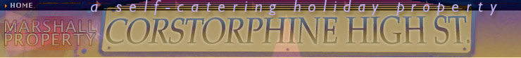 top banner
