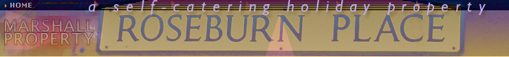 top banner