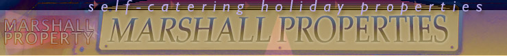 top banner